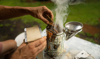 A close-up beekeeper starting to ignite a bee smoker