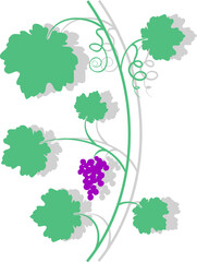 Grape Branch