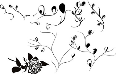 Large  rose bud. Vector illustration. Abstraction