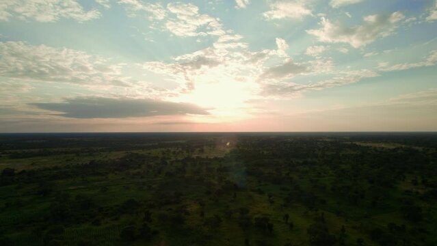 Aerial view of the forest at sunrise with clouds in the middle of Africa. Summer day in Chad after the rain season with green jungle next to the sand from a drone