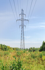 Electric Power Line in the Forest Clearing