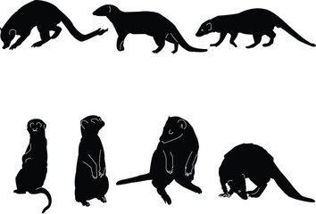 mongoose collection illustration - vector - obrazy, fototapety, plakaty