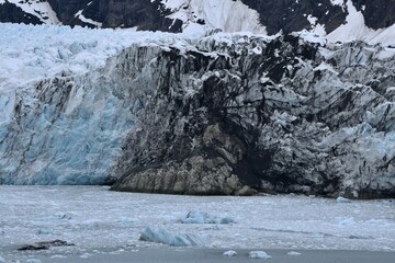 Ice floe in Glacier Bay National Park Alaska