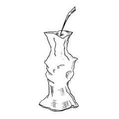 Apple core. Vector sketch. Isolated object on a white backgorund. Hand-drawn illustration.