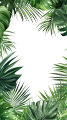 verdant palm leaves as a frame border, isolated with negative space for layouts