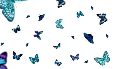 Gordijnen Color wild butterfly fly on background © BillionPhotos.com