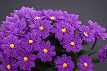 Naklejka na ściany i meble purple flowers in dark background