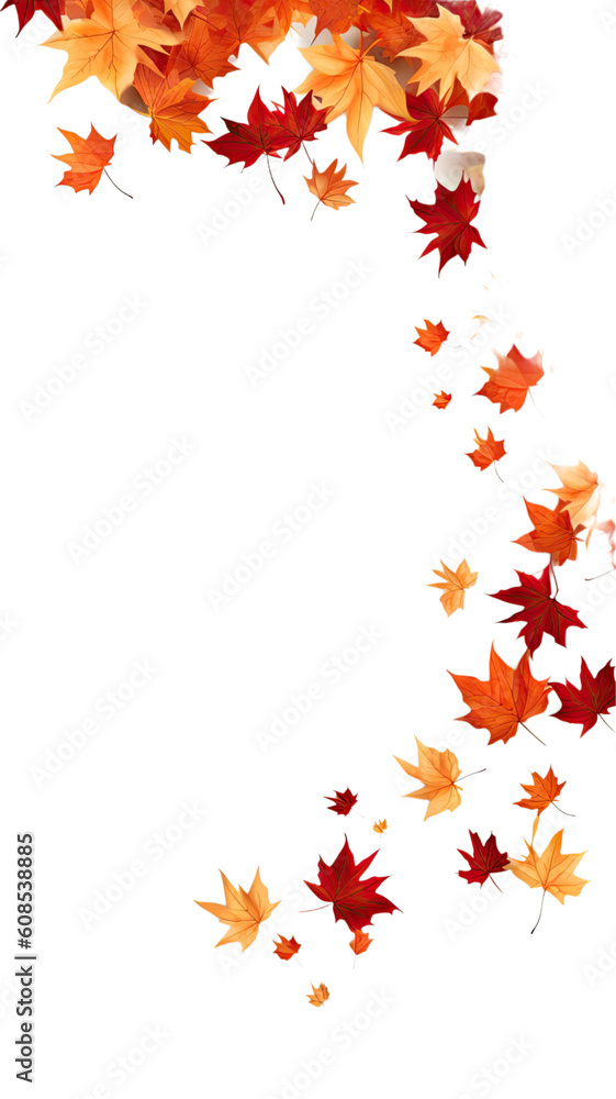 Sticker flowing maple leaves as a frame border, isolated with negative space for layouts