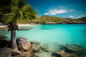 Fototapeta na wymiar Blue lagoon with palm tree and turquoise blue water