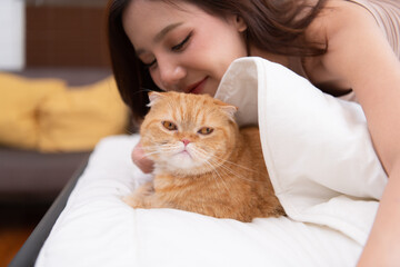 An intelligent Persian cat and owner playing together in bed