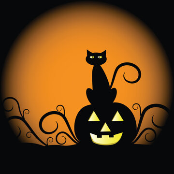 Spooky scary halloween cat and pumpkin