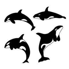 Fototapeta premium Vector illustration of a hunting whale or orca silhouette. Perfect for design elements of cartoon sea animals.