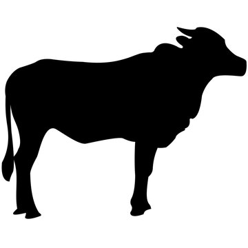 vector illustration of a cow, suitable for land animal design element,a cow silhouette