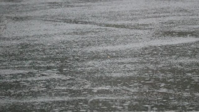 rain drops falling on pavement and pooling (wet asphalt) street when it is raining