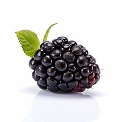 A fresh blackberry isolated on white background. Fresh raw organic fruit. Generative AI.