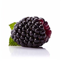 A fresh blackberry isolated on white background. Fresh raw organic fruit. Generative AI.