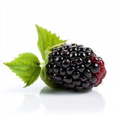 A fresh blackberry isolated on white background. Fresh raw organic fruit. Generative AI.