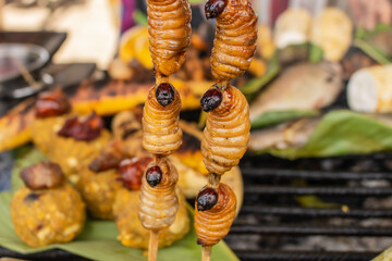 The larva of Rhynchophorus palmarum better known as Suri in the Amazon jungle of Peru, is a rich...
