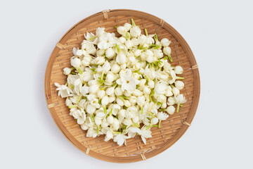 Thai jasmine flower on white background.