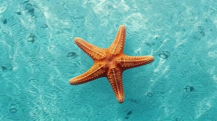 Fototapeta na wymiar A starfish with water droplets on a blue background. Generative ai
