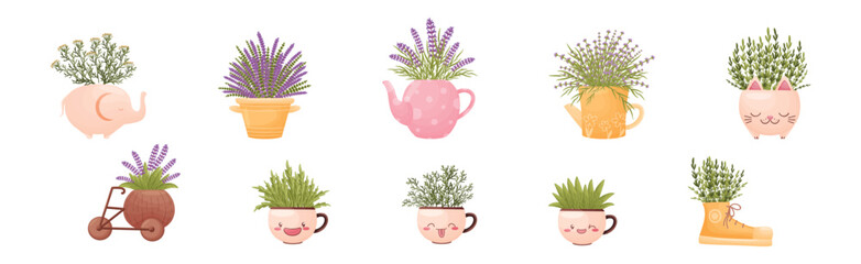 Bouquet of Flower in Cute Ceramic Flowerpot or Vase Vector Set