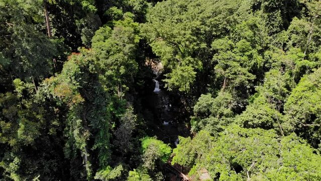 Aerial view, river flow of Sumatran tropical forest hidden under green trees