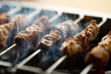 Grilled lamb skewers over charcoal © mnimage