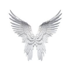 Fototapeta na wymiar angel wings isolated on white