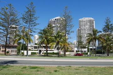 Bäume, Parkanlage und Häuser in der Stadt Gold Coast