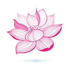 beautiful bright pink lotus graphic on a white background