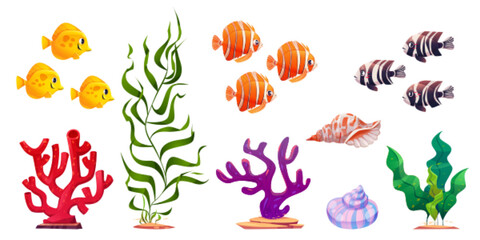 Fototapeta na wymiar Cartoon set of exotic fish, green seaweed, shells, colorful corals isolated on white background. Vector illustration of sea underwater inhabitants and plants, decorative aquarium design elements
