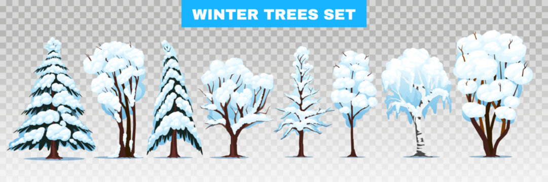 Winter Trees Transparent Set