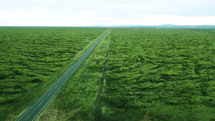 Aerial view of the beautiful landscape with the nature of Iceland. A field of green arctic moss. Background for tourism, design and advertising