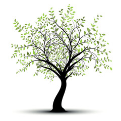 Green vector tree over white background