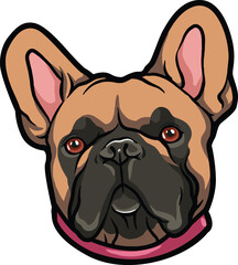Bulldog Face Illustration. Vector.