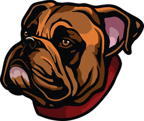 Bulldog Face Illustration. Vector.
