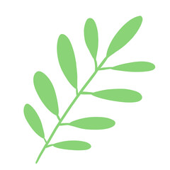 green leaves isolated on white background