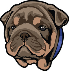 Bulldog Face Illustration. Vector.
