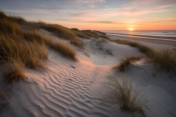 Beach sand dunes at sunset
