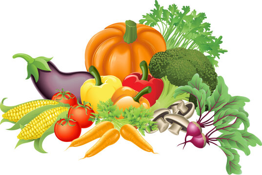Illustration of an assortment of fresh tasty vegetables