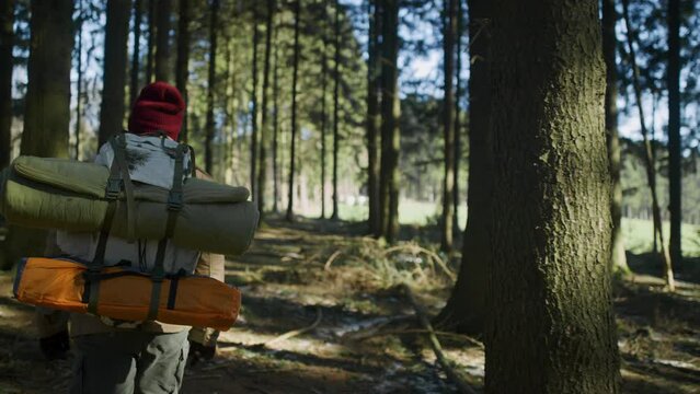 A man hikes through sunny woodland with camping gear