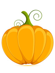 decorative orange pumpkin isolated on a white background