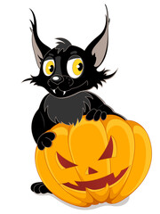 Black bat and Halloween pumpkin on a white background