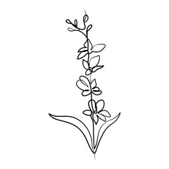 Continuous one line art drawing of beauty orchid flower