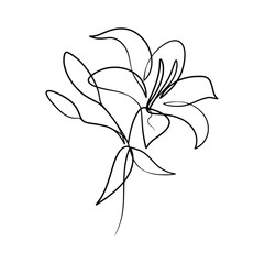 Continuous one line art drawing of beauty lily flower