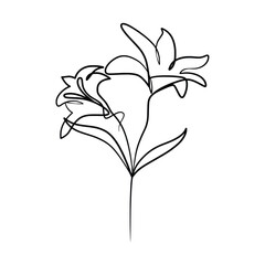 Continuous one line art drawing of beauty lily flower