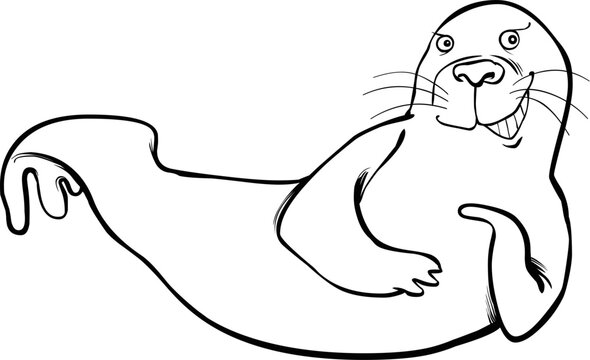 cartoon illustration of funny seal coloring page