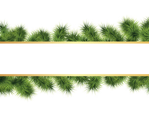 Christmas white background with fir branches. Vector illustration.