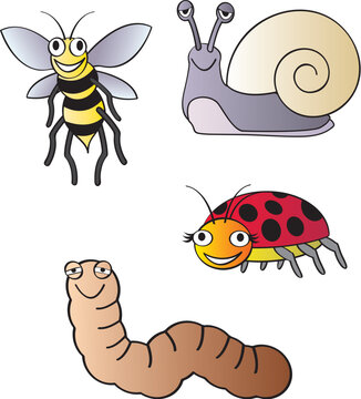 Five different fun cartoon bugs that are commonly found in the household garden.