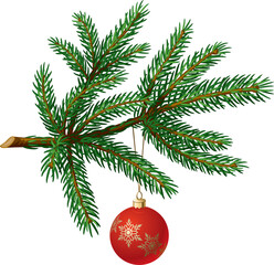 Pine tree branch with Christmas ball on white background. Vector Illustration